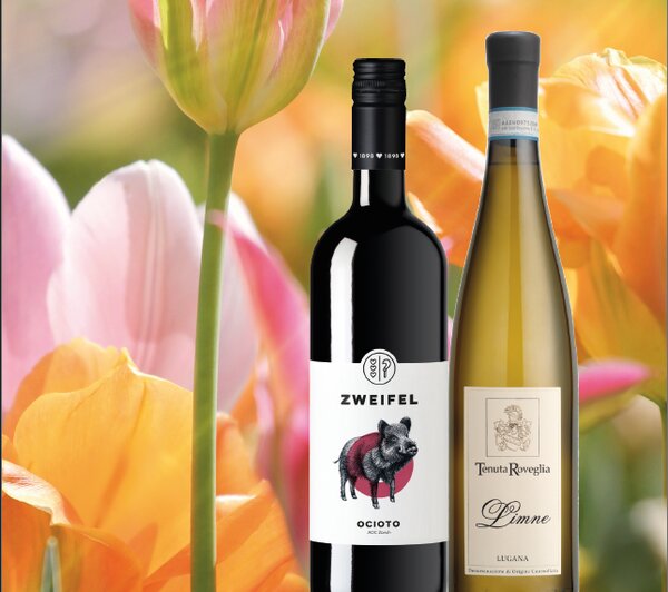Frühlings-Weine