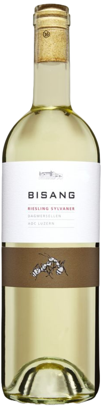 Dagmersellen Riesling Sylvaner 
Weingut Bisang