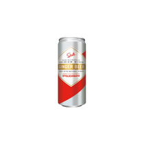 Stoli Ginger Beer Dosen *
alkoholfrei