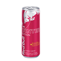 Red Bull WINTER Edition 2023 *