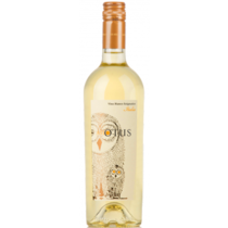 Asio Otus Vino Bianco Amabile *