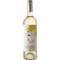 Sauvignon Blanc Vino de España 
Lazarra
