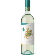 Pinot Grigio Cavaliere d'Oro DOC Venezia
Castello di Gabbiano