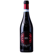 Soprasasso Ripasso Valpolicella Classico DOC
Mondo del Vino